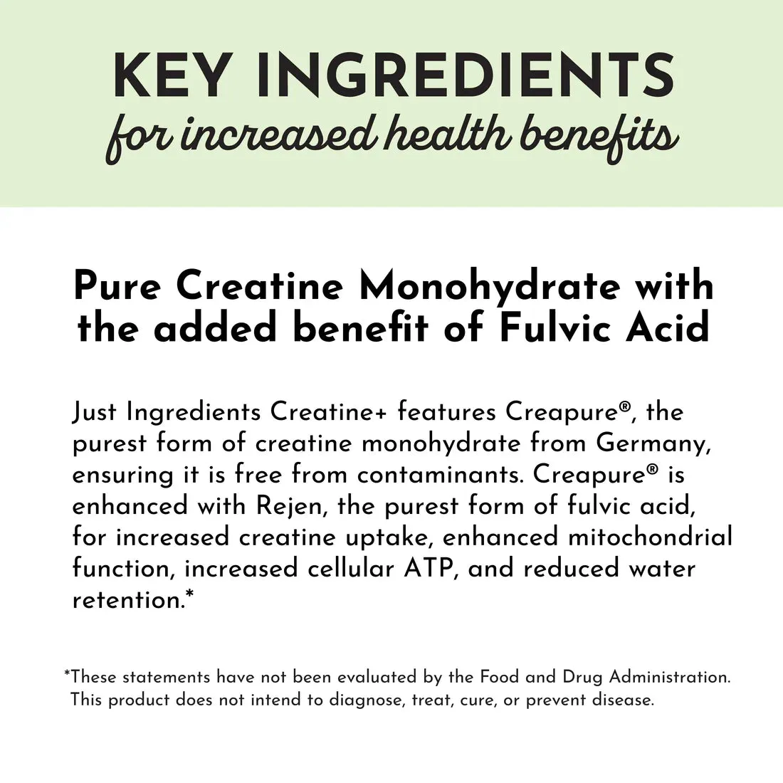 Just Ingredients Creatine 